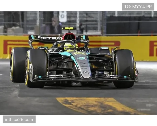 卫冕冠军优势：拉斯维加斯王牌核心阵容的稳定性价值